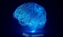 Bilim kurgu gerçek oluyor: Canlı beyin hücreleriyle çalışan bilgisayar