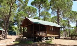 Bungalov dolandırıcılarına operasyon: 9 tutuklama