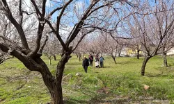 Malatya'da 20 bin dekardan fazla alanda hasar tespit edildi!