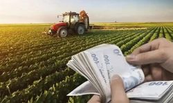 Destek ödemesi hesaplara aktarılıyor