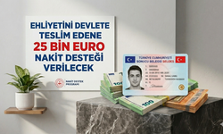 Ehliyetini devlete teslim edene 25 bin euro nakit desteği verilecek!