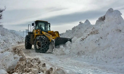 Nisan ayında kar sürprizi: 147 yol ulaşıma kapandı