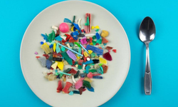 Ne yediğinizi iyi düşünün! Mikroplastikler sağlığı ve hayatı riske atıyor