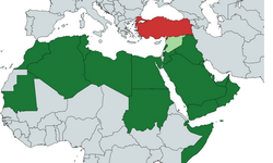 Arap Birliği’nden siyonist rejimin Somaliland kararına tepki