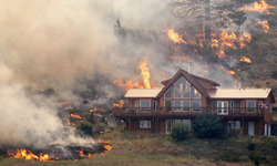 ABD’de orman yangınları: 120’den fazla ev kül oldu