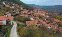 Türkiye'nin en tenha köyleri belli oldu! Nüfusu sadece bir kişiden oluşan yerleşim yerleri