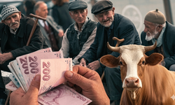 Emekli iki ödeme birden! Ceplerine ne kadar girecek?