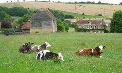 Gençlere maaşlı çiftlik: Bekarlara 2, evlilere 3 asgari ücret verilecek