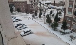 Bir ilde ceviz büyüklüğünde dolu yağdı