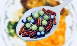 Gıda zehirlenmesine neden olan gıdalar açıklandı