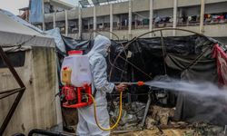 Gazze'de haşerelerin ve cilt enfeksiyonlarının katlanarak arttığı uyarısı!