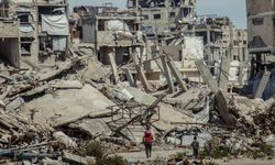 17 bin Gazzeliyi fareler ısırdı