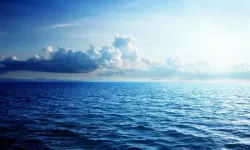 Okyanusun dibinde bilim dünyasını şaşkına çeviren buluş