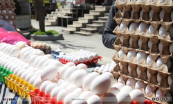 Diyarbakır'da yumurta fiyatları düştü