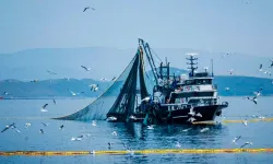 Denizlerde av yasağı başladı