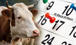 Kurban Bayramı izni toplamda 9 günü bulacak mı? Bu süre uzatılacak mı?