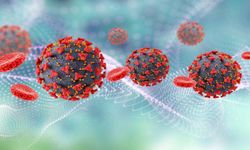 Uzmanlardan menenjit uyarısı: Salgın yok ama risk sürüyor