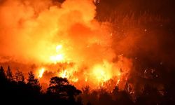 Bakan Çiftçi: Orman yangınlarında önleyici yaklaşımı güçlendireceğiz