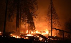 ABD'de 27 bin dönümlük alan küle döndü!