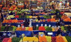 Tarlada 5, rafta 50 lira: Dijital hal sistemi önerisi