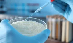 Pirinçten, darbeye göre şekil değiştiren akıllı malzeme üretildi