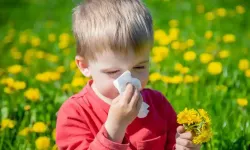 İklim değişikliği ve hava kirliliği alerjileri tetikliyor!