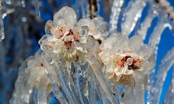 Sivaslılar dikkat: Valilikten uyarı geldi