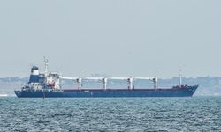 AB: Ukrayna'dan çalınan tahıl nedeniyle yaptırım uygulayabiliriz!