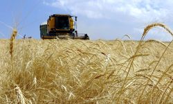 Bakan duyurdu: 1000 kişilik istihdam, milyarlık üretim başladı