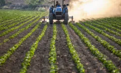 Tarımsal girdi maliyetleri artıyor