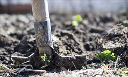 Kritik gübrelerde vergi sıfırlandı