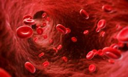 Hemofili hastaları için sağlık desteğinde yeni dönem