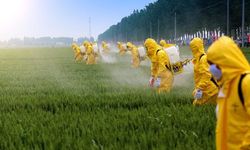 Zirai ilaç kullanımına B-Reçete düzenlemesi geliyor