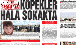 ÇOCUKLARI PARÇALAYAN KÖPEKLER HALA SOKAKTA