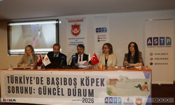 Türkiye’de Başıboş Köpek Sorunu” paneli düzenlendi