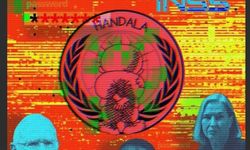 Hanzala siber grubu, siyonist enstitüye sızdı