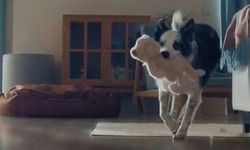 Bosh ve BBC.. Batı'ya bebek, Türkiye'ye ''köpek''