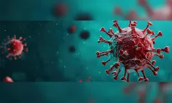 Hantavirüs nedir, bulaşıcı mı, nasıl bulaşır?