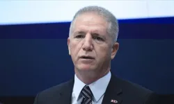 Vali Gül: Sokakta tek bir köpek bile kalmayacak