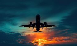 Yolcu, kabin görevlisini ısırdı uçağın rotası değiştirildi