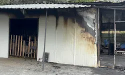 Kurban Bayramı öncesi acı olay! 1 kişi hayatını kaybetti