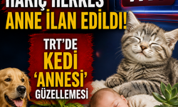 Çocuk annesi hariç herkes anne ilan edildi! TRT'de kedi ''annesi'' güzellemesi