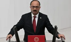 AK Partili vekil: Hayvansever değil, köpeksever denilmeli