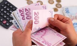 Resmi Gazete'de Yayımlandı: Ülke Dışındaki Kazançlara 20 Yıllık Vergi İstisnası!
