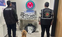 Gümrük kapılarında 659 kilogram uyuşturucu ele geçirildi