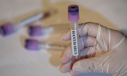 Hantavirüs gemisi: 3 Türkiye vatandaşı ülkeye getiriliyor