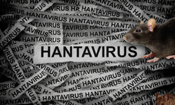 Hantavirüs nedir? Hantavirüs nasıl bulaşır?