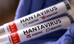 İngiltere duyurdu: Bir İngiliz vatandaşında daha hantavirüs şüphesi tespit edildi!