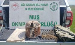 Muş'ta keklik avlayan şahsa unutulmaz ceza!