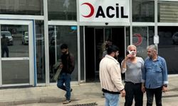 Şanlıurfa'da sahipsiz köpek saldırısı!
